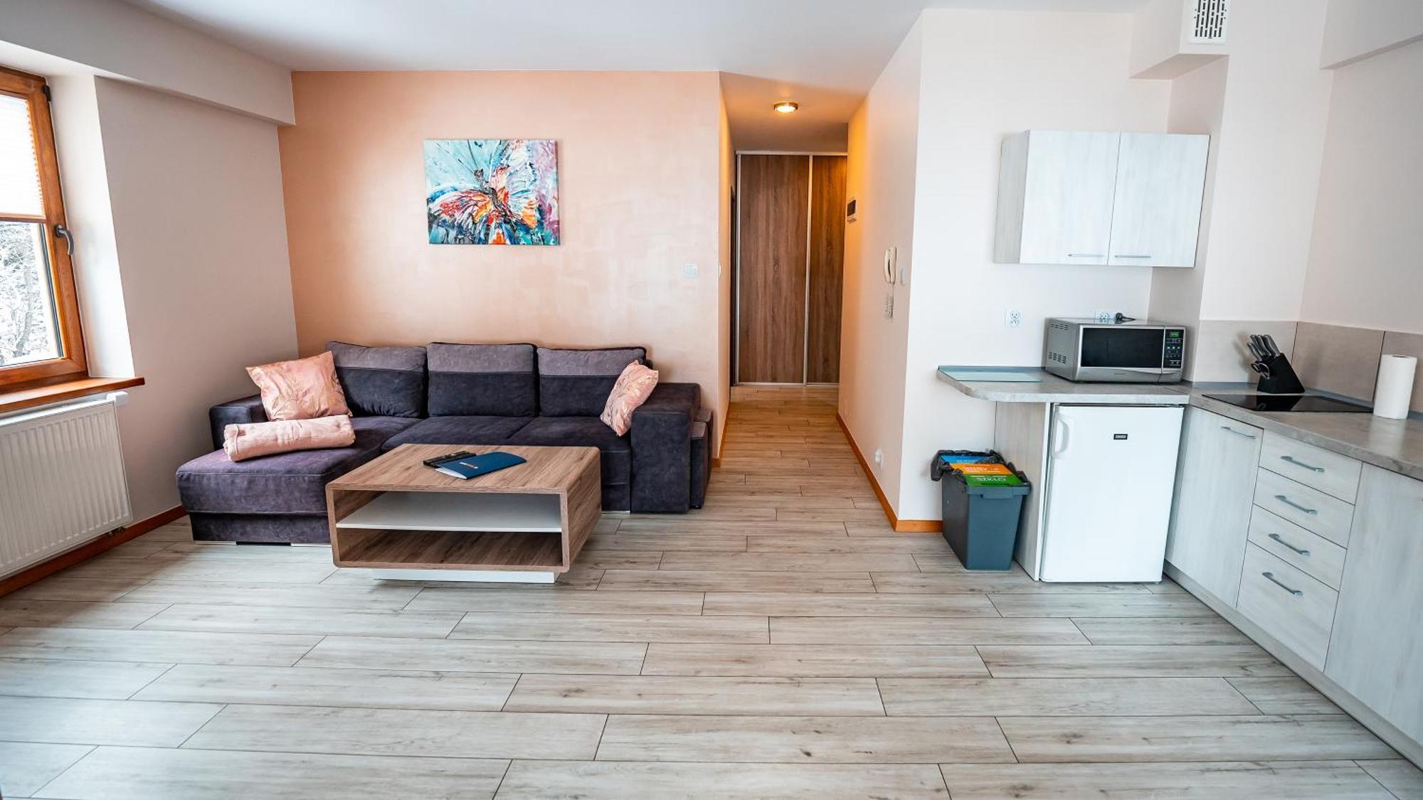 Apartamenty Sun & Snow Zielona กรินีซา ดรอยจ์ ภายนอก รูปภาพ